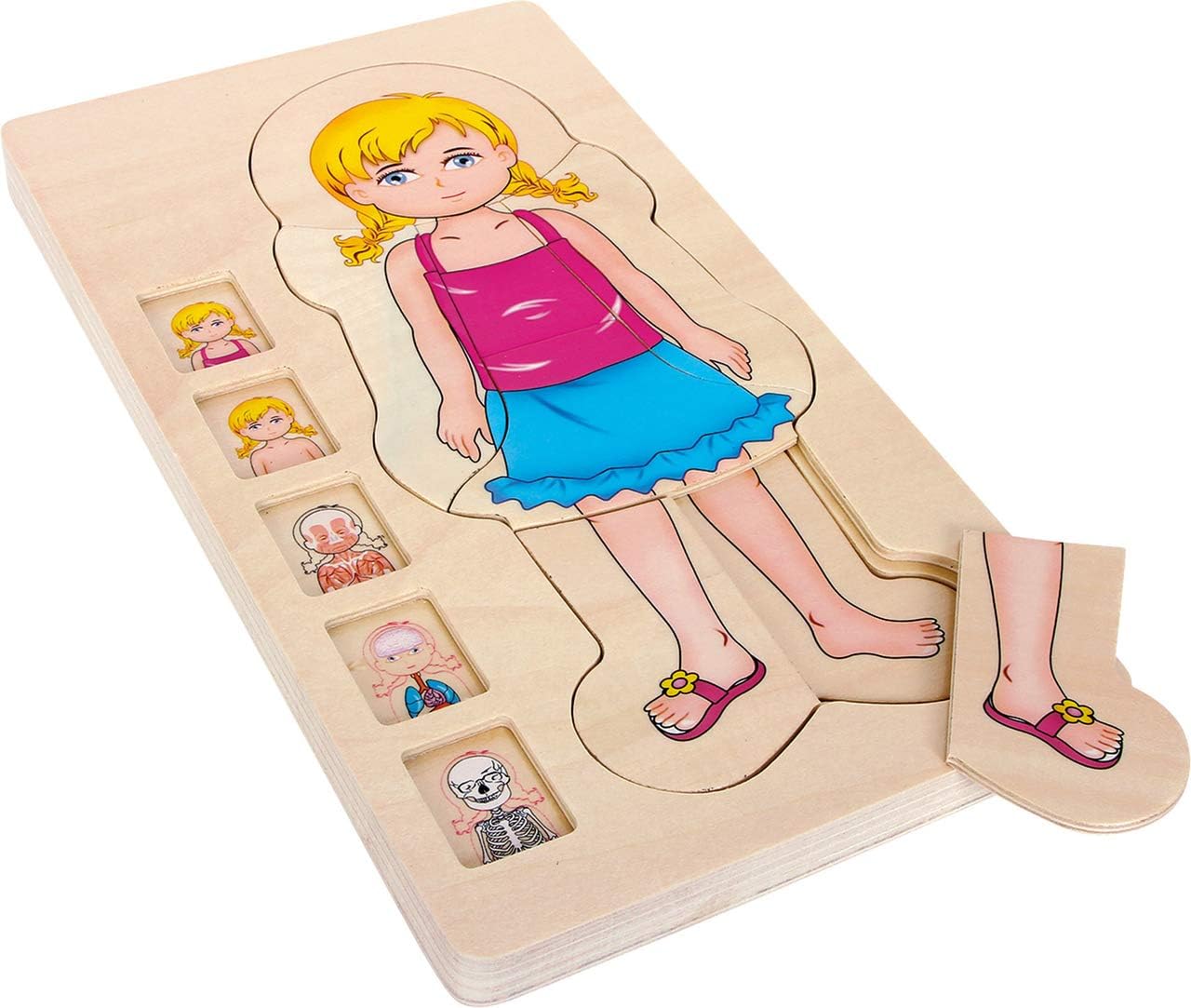 Human Body Anatomy Wooden Puzzles for Kids: Fun Science Learning!