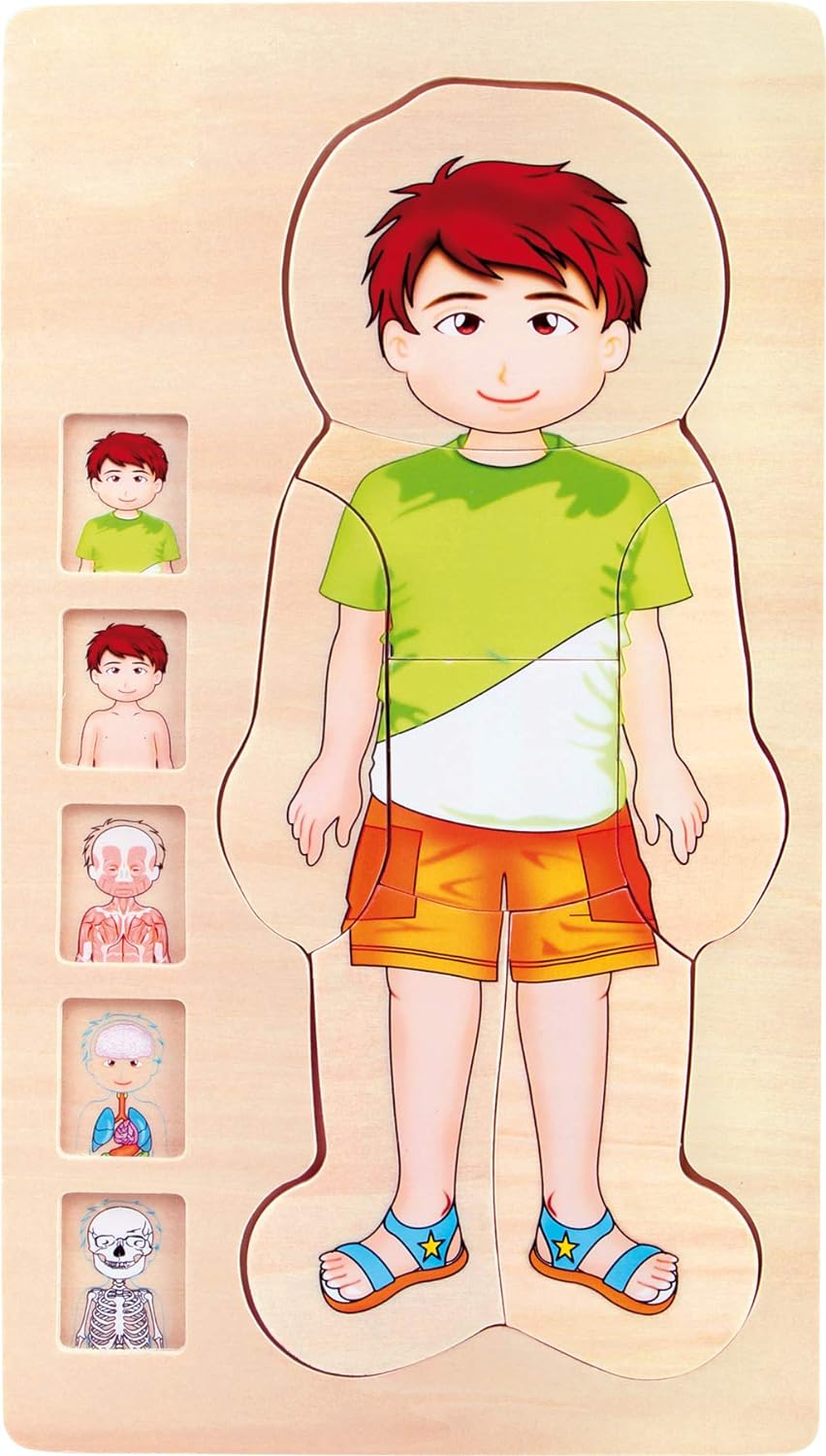 Human Body Anatomy Wooden Puzzles for Kids: Fun Science Learning!