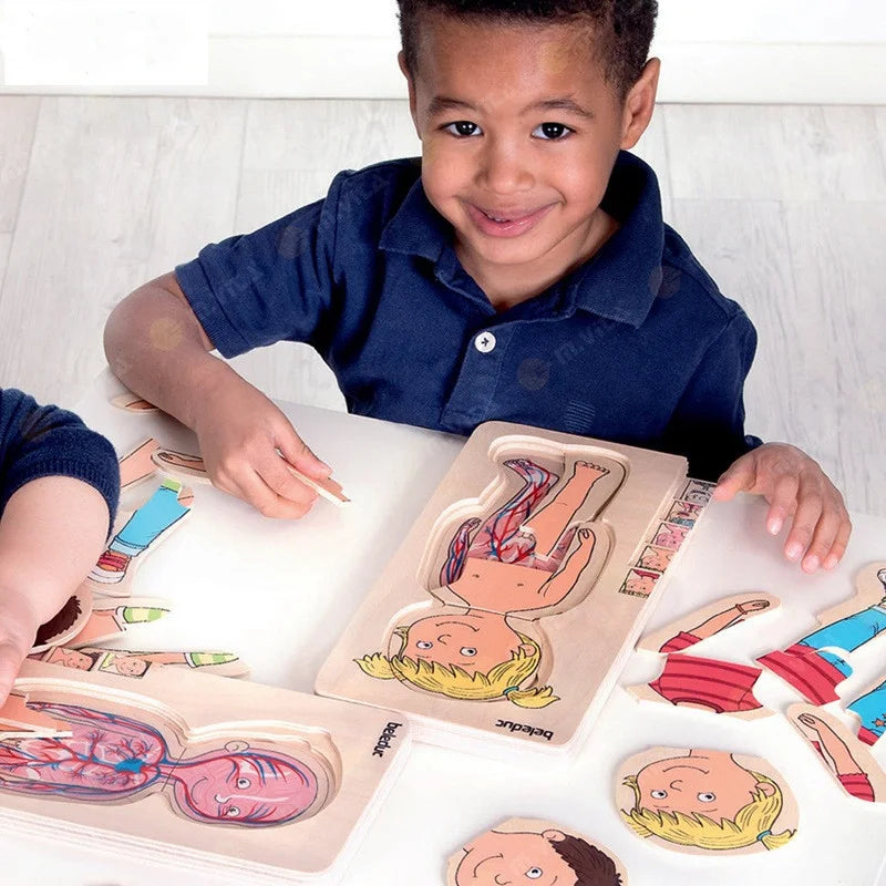 Human Body Anatomy Wooden Puzzles for Kids: Fun Science Learning!