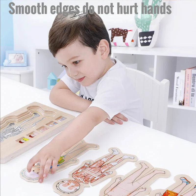 Human Body Anatomy Wooden Puzzles for Kids: Fun Science Learning!