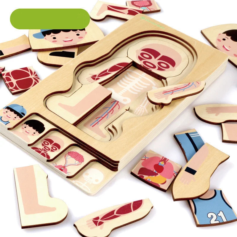 Human Body Anatomy Wooden Puzzles for Kids: Fun Science Learning!